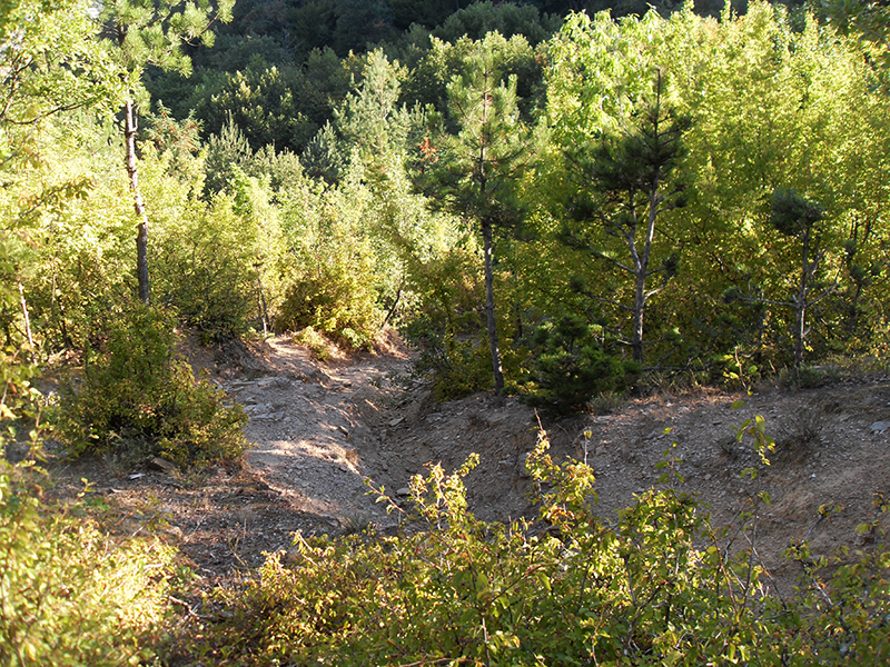 Натиснете снимката за да я уголемите

Име:SDC10258 copy.jpg
Прегледи:1
Размер:817.4 КБ
ID:5516037