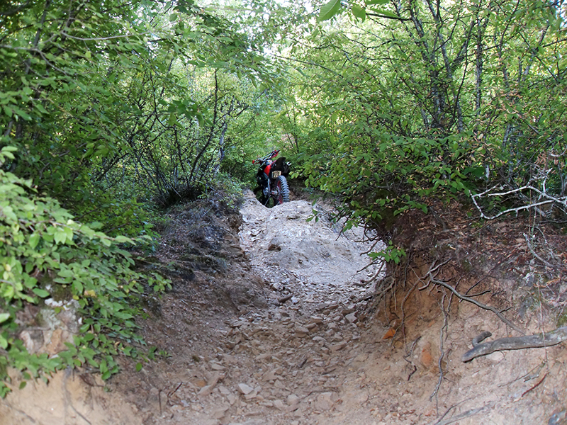 Натиснете снимката за да я уголемите

Име:SDC10261 copy.jpg
Прегледи:1
Размер:714.7 КБ
ID:5516041