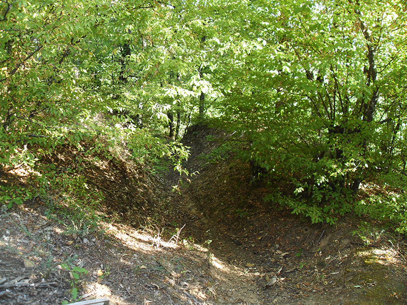 Натиснете снимката за да я уголемите

Име:SDC10263 copy.jpg
Прегледи:1
Размер:849.1 КБ
ID:5516043