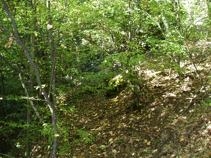 Натиснете снимката за да я уголемите

Име:SDC10268 copy.JPG
Прегледи:1
Размер:800.7 КБ
ID:5516051