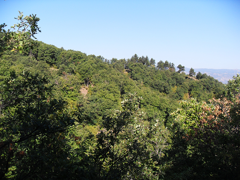 Натиснете снимката за да я уголемите

Име:SDC10269 copy.jpg
Прегледи:1
Размер:604.6 КБ
ID:5516053