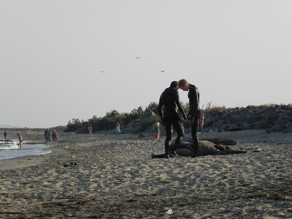 Натиснете снимката за да я уголемите

Име:Море-17-30.08.2013 1147.jpg
Прегледи:1
Размер:328.6 КБ
ID:5517052
