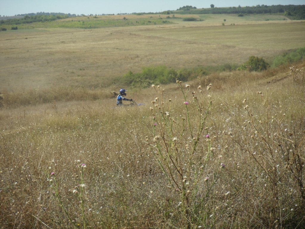 Натиснете снимката за да я уголемите

Име:SAM_0330.jpg
Прегледи:1
Размер:201.4 КБ
ID:5517313