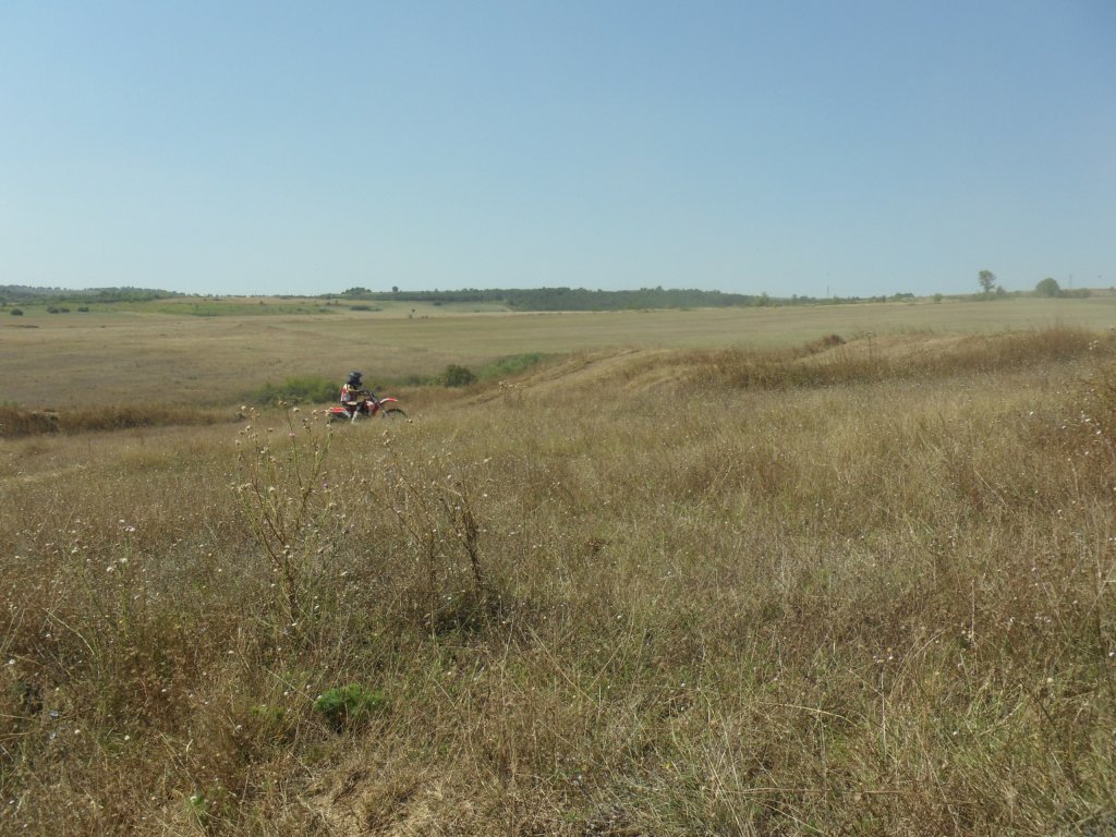 Натиснете снимката за да я уголемите

Име:SAM_0332.jpg
Прегледи:1
Размер:164.2 КБ
ID:5517315