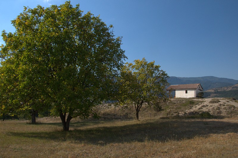 Натиснете снимката за да я уголемите

Име:DSC_0030.jpg
Прегледи:1
Размер:141.9 КБ
ID:5517483