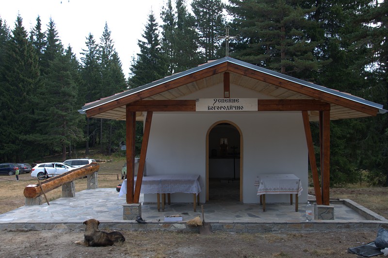 Натиснете снимката за да я уголемите

Име:DSC_0177.jpg
Прегледи:1
Размер:130.8 КБ
ID:5517511