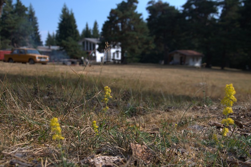 Натиснете снимката за да я уголемите

Име:DSC_0206.jpg
Прегледи:1
Размер:121.6 КБ
ID:5517515