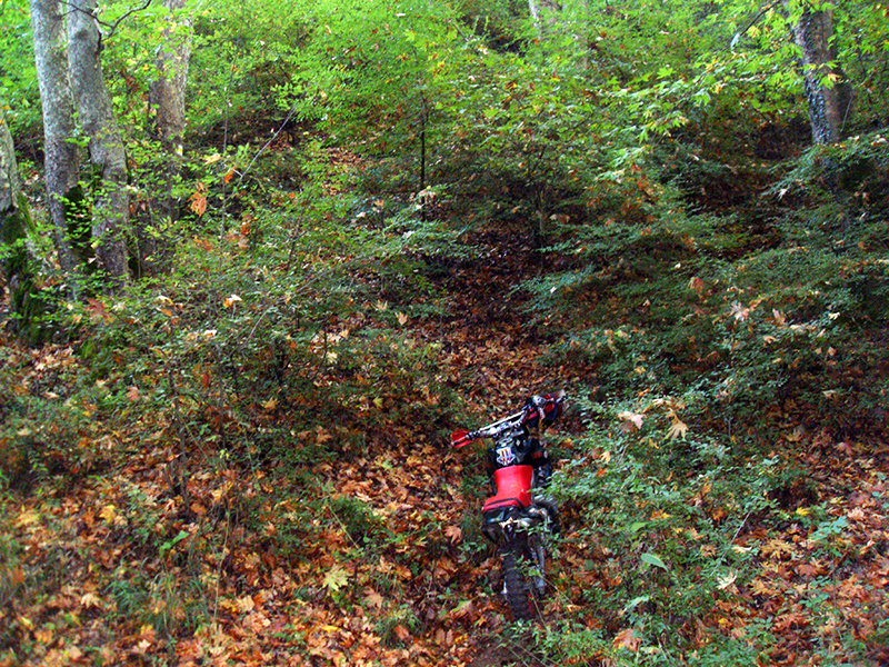 Натиснете снимката за да я уголемите

Име:SDC10274 copy.jpg
Прегледи:1
Размер:895.5 КБ
ID:5518489