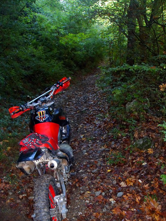 Натиснете снимката за да я уголемите

Име:SDC10275 copy.jpg
Прегледи:1
Размер:139.8 КБ
ID:5518490