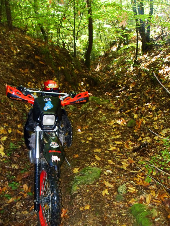 Натиснете снимката за да я уголемите

Име:SDC10276 copy.jpg
Прегледи:1
Размер:166.2 КБ
ID:5518491