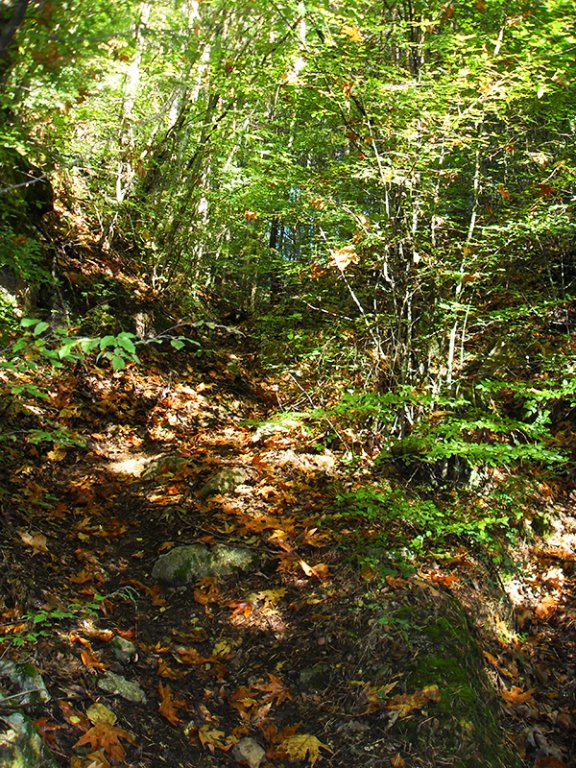 Натиснете снимката за да я уголемите

Име:SDC10278 copy.jpg
Прегледи:1
Размер:208.6 КБ
ID:5518493