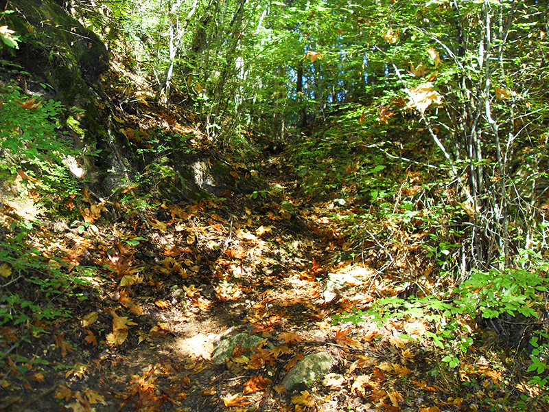 Натиснете снимката за да я уголемите

Име:SDC10279 copy.jpg
Прегледи:1
Размер:907.4 КБ
ID:5518494