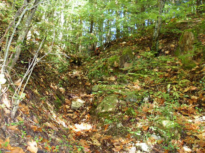 Натиснете снимката за да я уголемите

Име:SDC10280 copy.jpg
Прегледи:1
Размер:853.0 КБ
ID:5518495