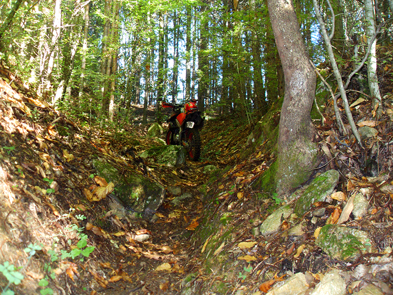 Натиснете снимката за да я уголемите

Име:SDC10281 copy.jpg
Прегледи:1
Размер:852.0 КБ
ID:5518496