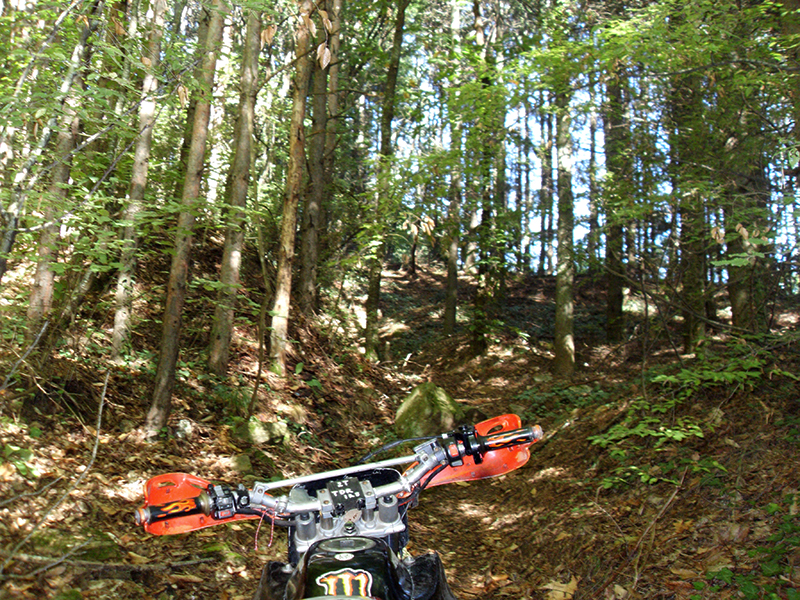 Натиснете снимката за да я уголемите

Име:SDC10282 copy.jpg
Прегледи:1
Размер:779.0 КБ
ID:5518497