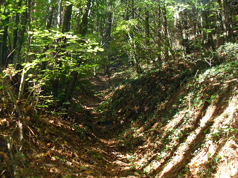 Натиснете снимката за да я уголемите

Име:SDC10283 copy.jpg
Прегледи:1
Размер:786.0 КБ
ID:5518500