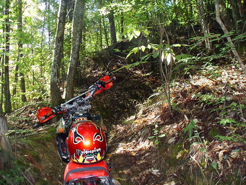 Натиснете снимката за да я уголемите

Име:SDC10290 copy.JPG
Прегледи:1
Размер:796.2 КБ
ID:5518504