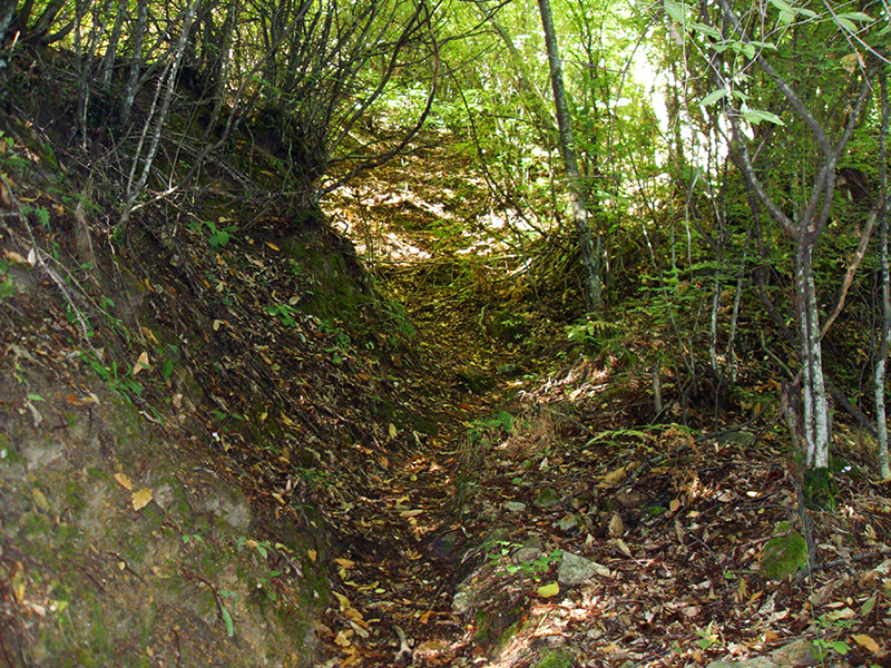 Натиснете снимката за да я уголемите

Име:SDC10291 copy.jpg
Прегледи:1
Размер:843.2 КБ
ID:5518505