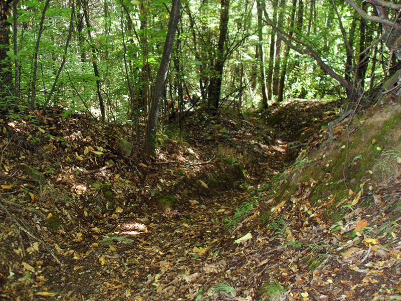 Натиснете снимката за да я уголемите

Име:SDC10292 copy.jpg
Прегледи:1
Размер:853.7 КБ
ID:5518506