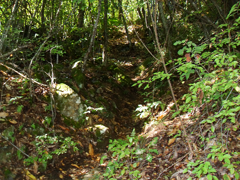 Натиснете снимката за да я уголемите

Име:SDC10294 copy.jpg
Прегледи:1
Размер:718.8 КБ
ID:5518510