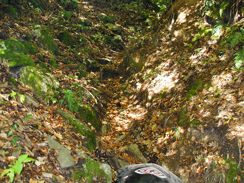 Натиснете снимката за да я уголемите

Име:SDC10297 copy.jpg
Прегледи:1
Размер:823.5 КБ
ID:5518512