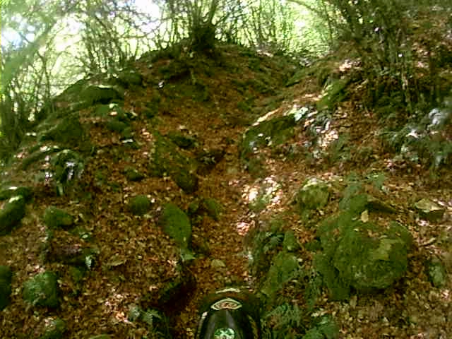 Натиснете снимката за да я уголемите

Име:MOV_0036.AVI_000008466.jpg
Прегледи:1
Размер:235.5 КБ
ID:5518514