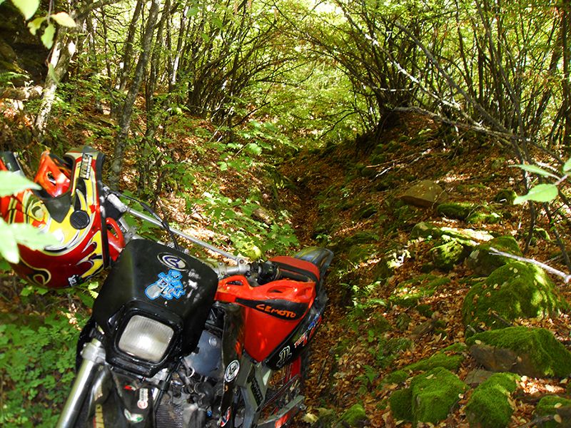 Натиснете снимката за да я уголемите

Име:SDC10298 copy.jpg
Прегледи:1
Размер:816.3 КБ
ID:5518518