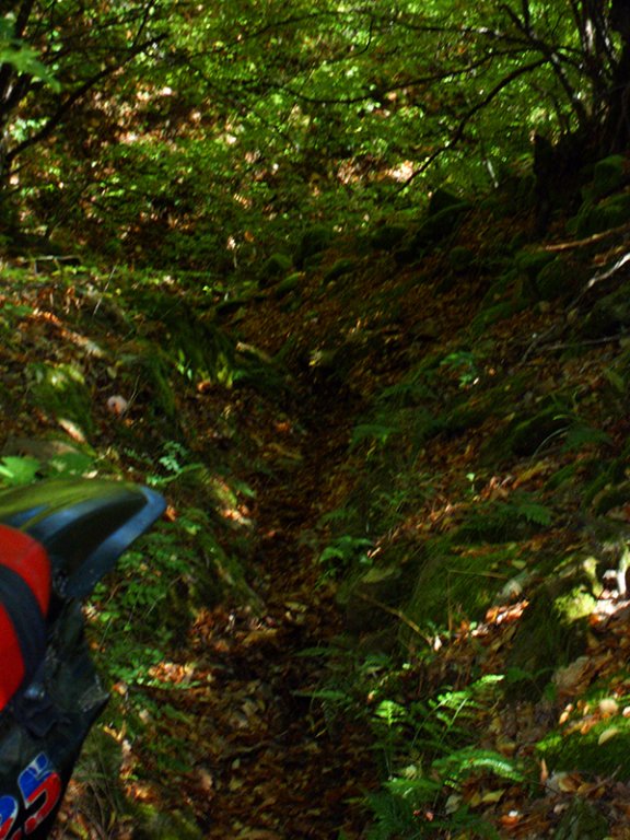 Натиснете снимката за да я уголемите

Име:SDC10299 copy.jpg
Прегледи:1
Размер:116.4 КБ
ID:5518519