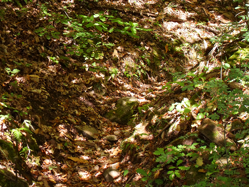 Натиснете снимката за да я уголемите

Име:SDC10301 copy.jpg
Прегледи:1
Размер:790.3 КБ
ID:5518520