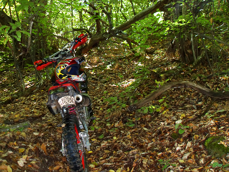 Натиснете снимката за да я уголемите

Име:SDC10302 copy.jpg
Прегледи:1
Размер:756.7 КБ
ID:5518521