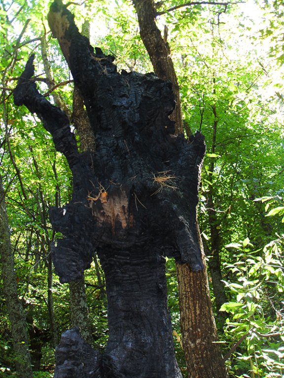 Натиснете снимката за да я уголемите

Име:SDC10303 copy.jpg
Прегледи:1
Размер:164.3 КБ
ID:5518522