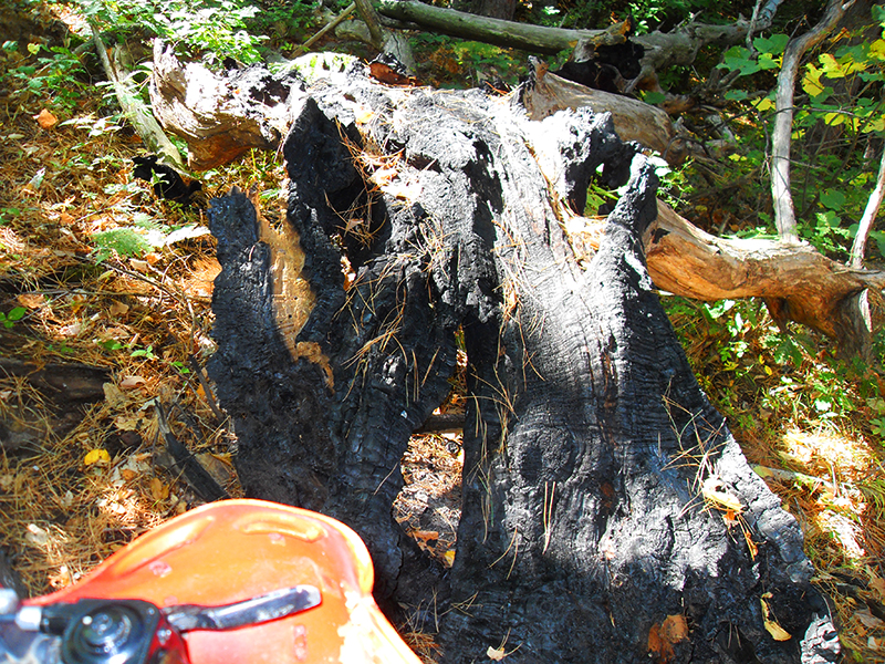 Натиснете снимката за да я уголемите

Име:SDC10304 copy.jpg
Прегледи:1
Размер:811.5 КБ
ID:5518523