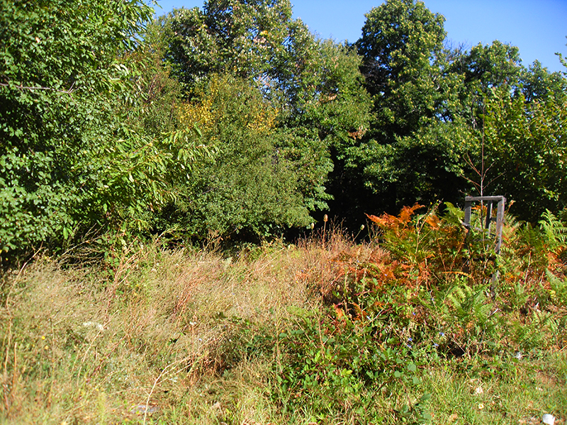 Натиснете снимката за да я уголемите

Име:SDC10306 copy.jpg
Прегледи:1
Размер:877.3 КБ
ID:5518525