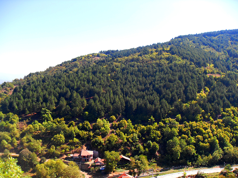 Натиснете снимката за да я уголемите

Име:SDC10315 copy.JPG
Прегледи:1
Размер:606.8 КБ
ID:5518532