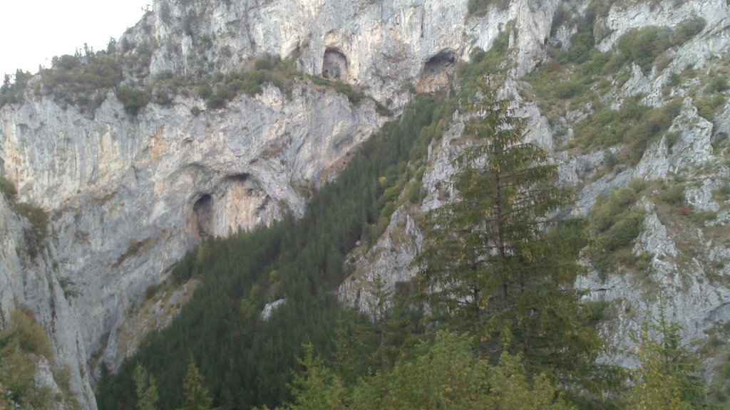 Натиснете снимката за да я уголемите

Име:DSC_2407.jpg
Прегледи:1
Размер:132.8 КБ
ID:5519318