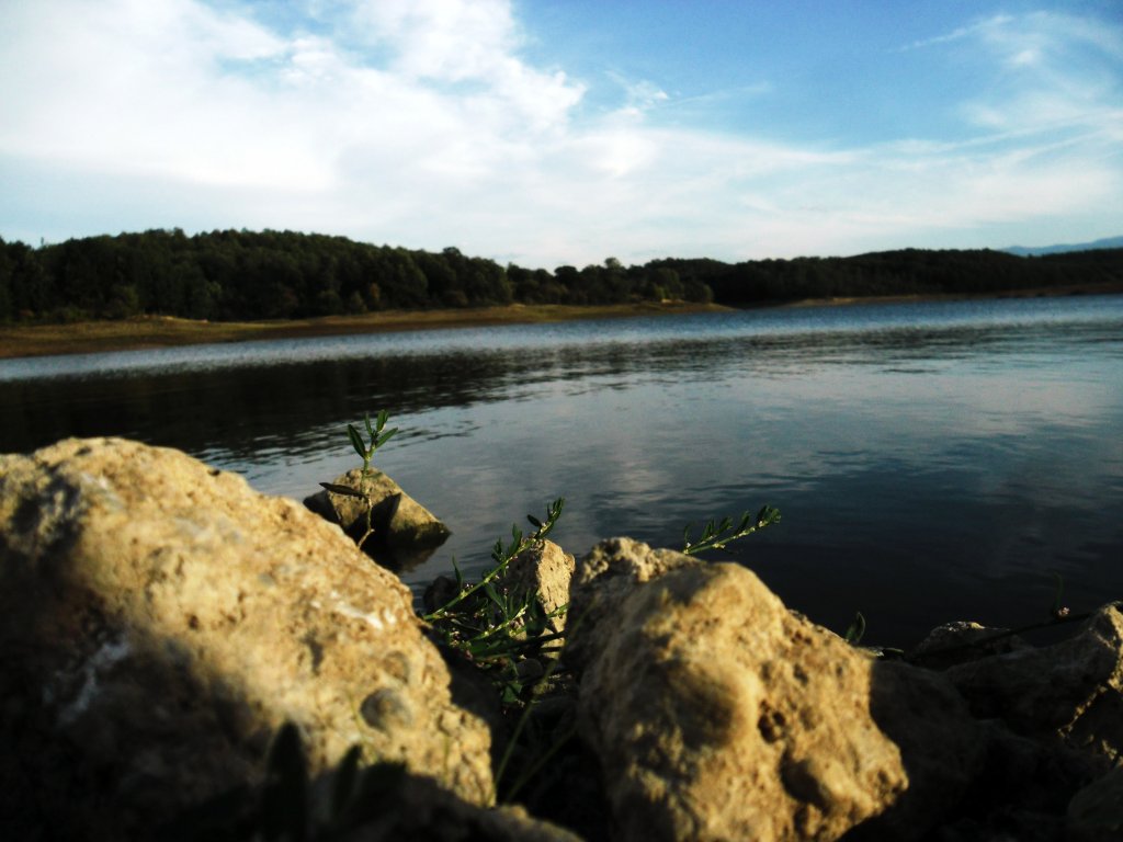 Натиснете снимката за да я уголемите

Име:SAM_4295.jpg
Прегледи:1
Размер:101.4 КБ
ID:5519411