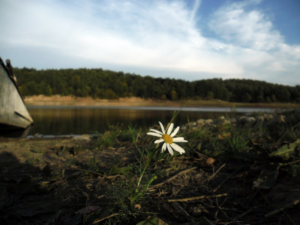 Натиснете снимката за да я уголемите

Име:SAM_4301.jpg
Прегледи:1
Размер:92.7 КБ
ID:5519413