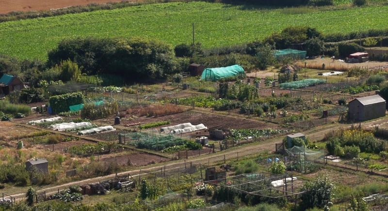 Натиснете снимката за да я уголемите

Име:1 (53) (800x436).jpg
Прегледи:1
Размер:317.5 КБ
ID:5526338