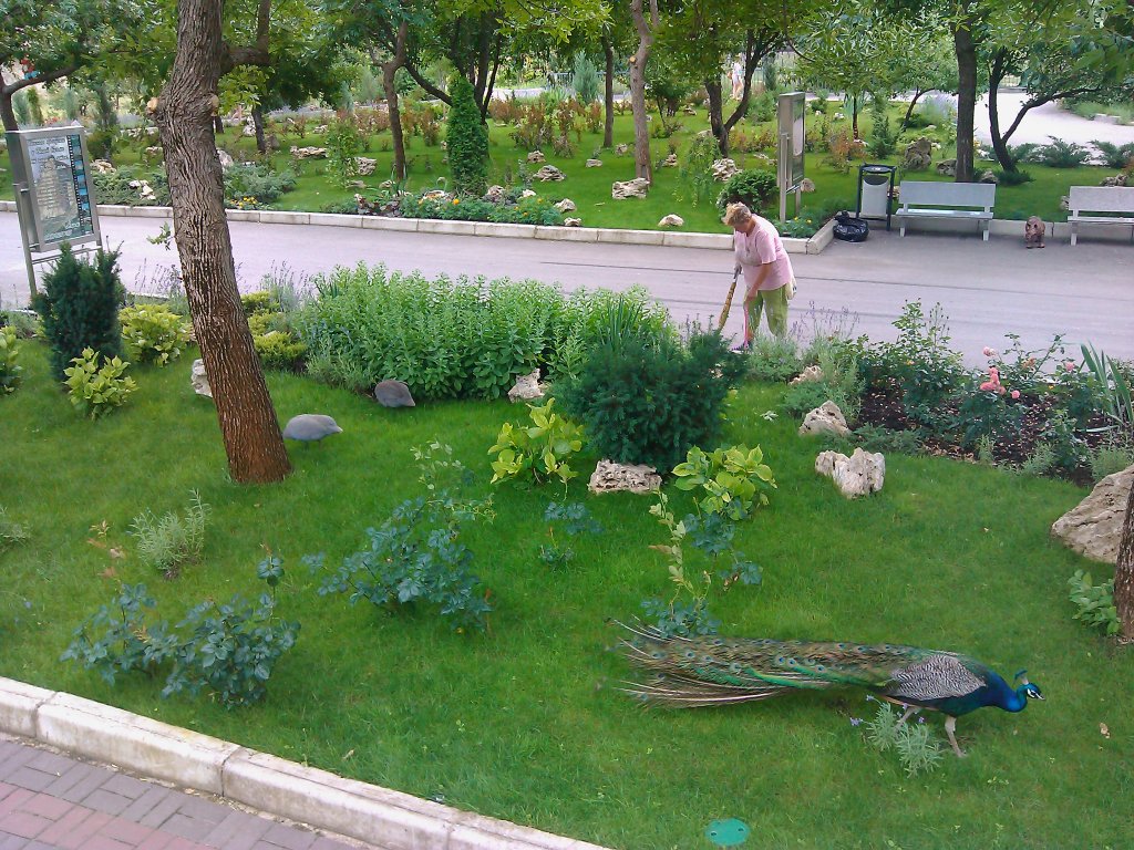 Натиснете снимката за да я уголемите

Име:2013-06-29 15.40.53.jpg
Прегледи:1
Размер:254.8 КБ
ID:5530302