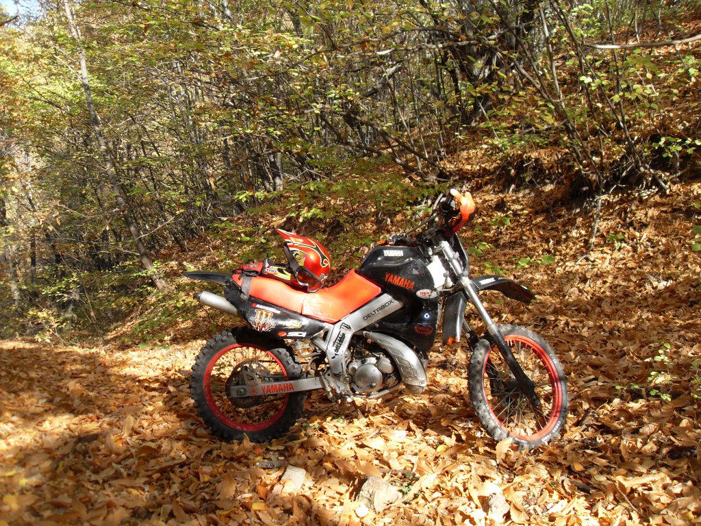 Натиснете снимката за да я уголемите

Име:SDC10477.jpg
Прегледи:1
Размер:352.6 КБ
ID:5533661