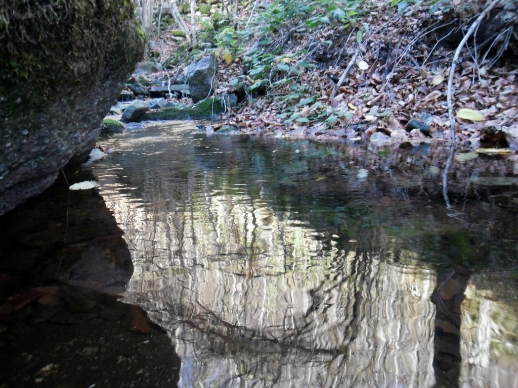 Натиснете снимката за да я уголемите

Име:SAM_4401.jpg
Прегледи:1
Размер:202.0 КБ
ID:5534799