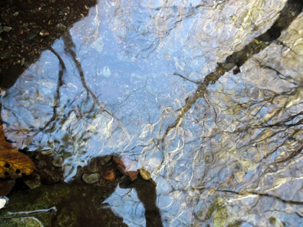 Натиснете снимката за да я уголемите

Име:SAM_4403.jpg
Прегледи:1
Размер:166.2 КБ
ID:5534800