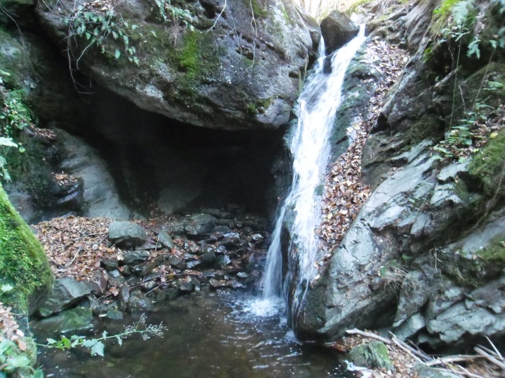 Натиснете снимката за да я уголемите

Име:SAM_4406.jpg
Прегледи:1
Размер:194.0 КБ
ID:5534801