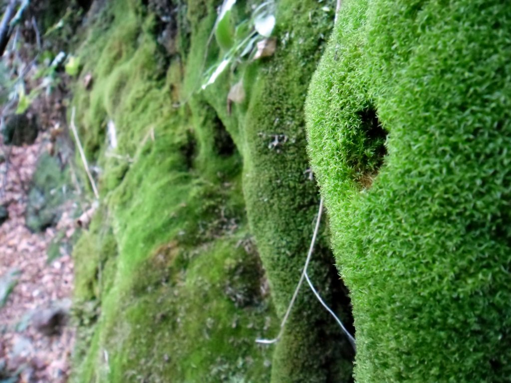 Натиснете снимката за да я уголемите

Име:SAM_4418.jpg
Прегледи:1
Размер:152.2 КБ
ID:5534802