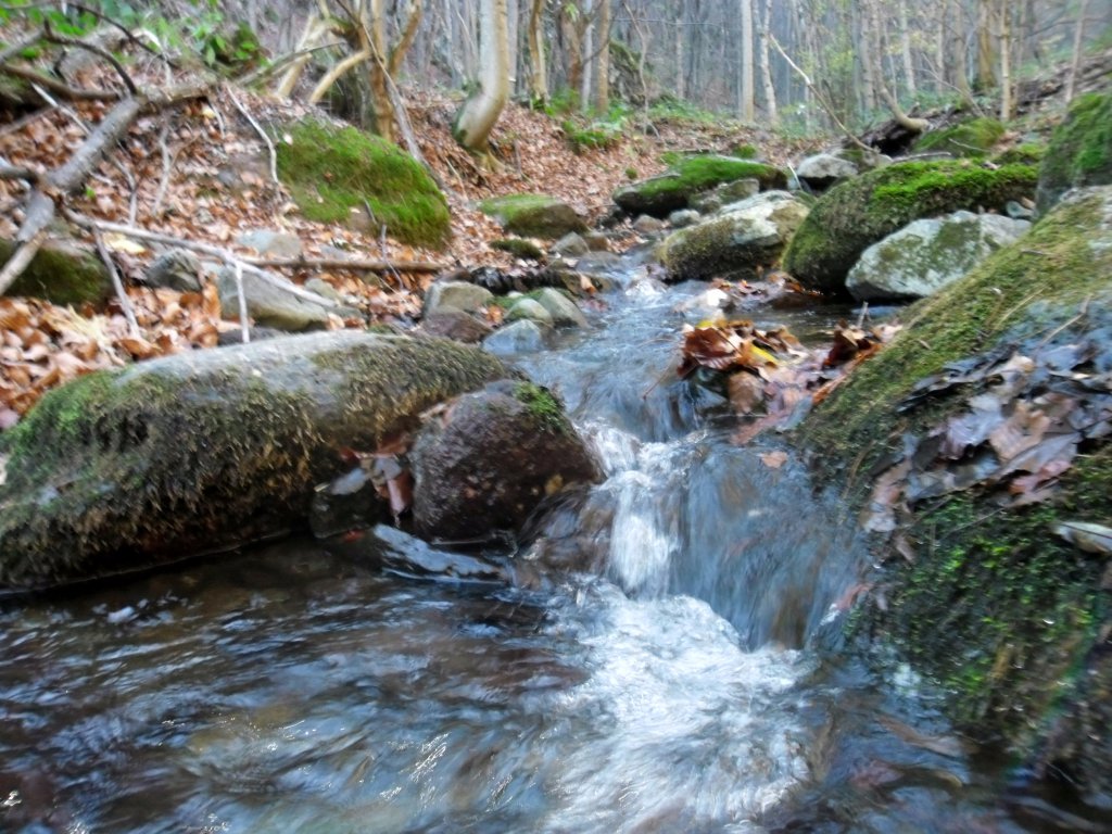 Натиснете снимката за да я уголемите

Име:SAM_4424.jpg
Прегледи:1
Размер:198.4 КБ
ID:5534803