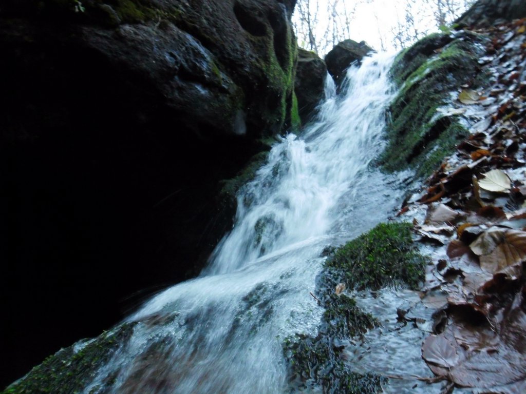 Натиснете снимката за да я уголемите

Име:SAM_4445.jpg
Прегледи:1
Размер:134.3 КБ
ID:5534805