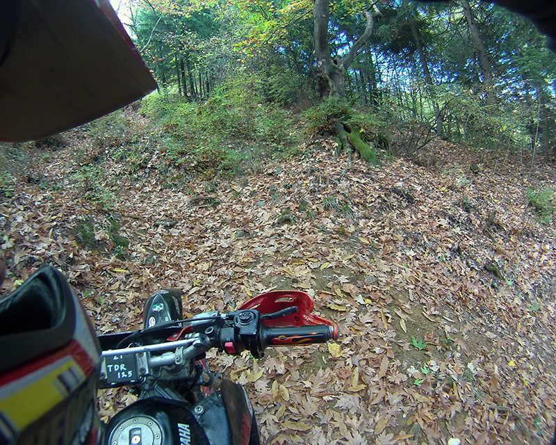 Натиснете снимката за да я уголемите

Име:IONX0022 copy.jpg
Прегледи:1
Размер:696.9 КБ
ID:5535487