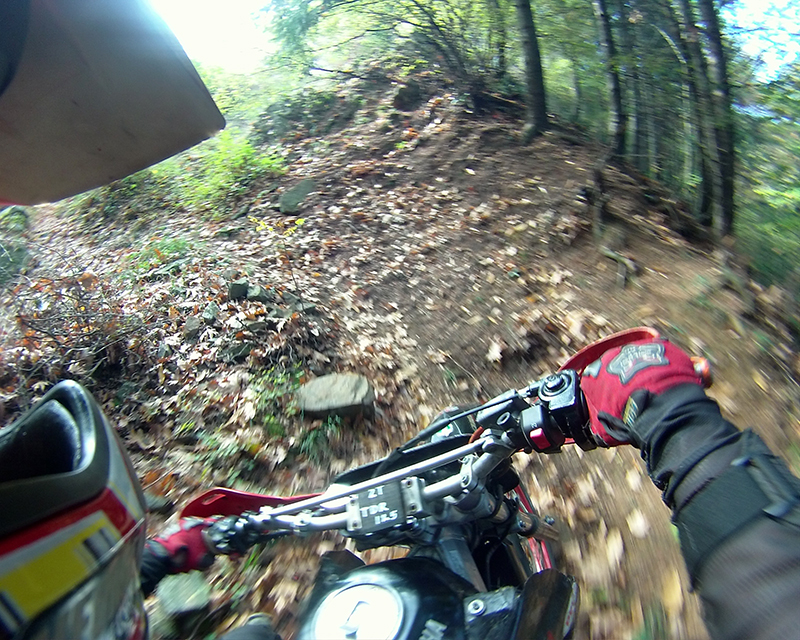 Натиснете снимката за да я уголемите

Име:IONX0027 copy.jpg
Прегледи:1
Размер:557.1 КБ
ID:5535489