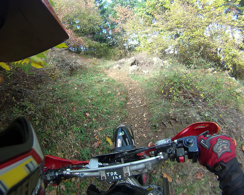 Натиснете снимката за да я уголемите

Име:IONX0029 copy.jpg
Прегледи:1
Размер:631.4 КБ
ID:5535490