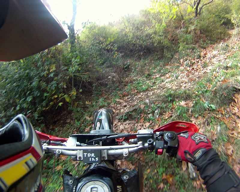 Натиснете снимката за да я уголемите

Име:IONX0032 copy.jpg
Прегледи:1
Размер:554.5 КБ
ID:5535493